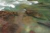 Water Colors.jpg